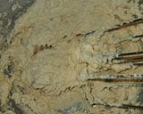 Une image de l'étape 2 de -Gros cookies moelleux à l'intérieur-.