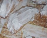 Foto del paso 9 de la receta: Empanadillas blanqueadas