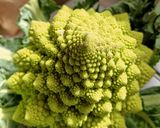 Une image de l'étape 1 de Chou romanesco à la crème au Cook Expert.
