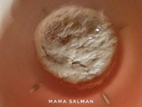 Maida Chapati (capati terigu)