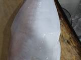 Leatherjacket Fish (sukang) ala western