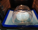 Foto del paso 8 de la receta: Pan casero con harina de trigo "normal"