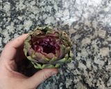 Foto del paso 1 de la receta: Alcauciles en su Caldo
