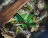 Foto langkah ke 3 dari resep Opor Ayam Kampung Bumbu Kuning.