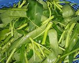 Foto langkah ke 1 dari resep Tumis Kangkung.