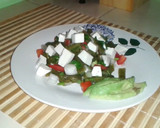 Foto del paso 8 de la receta: Ensalada de nopal (a la mexicana)