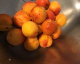 Une image de l'étape 2 de Tarte aux abricots (pâte brisée aux deux farines et lait).