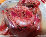 Foto del paso 4 de la receta: Meloso con gambas rojas de la Ametlla