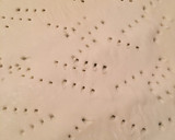 Foto del paso 4 de la receta: Empanada de zamburiñas en hojaldre