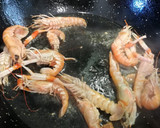 Foto del paso 4 de la receta: Suquet de gallineta con cigalas, nécoras y arroz jazmín al perfume (y sabor) de anís estrellado
