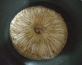 Foto del paso 3 de la receta: Pizza de macrolepiota prócera