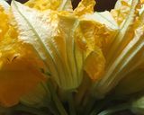 A picture of step 1 of Pumpkin Flower Tawa Fry.
