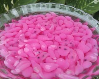 Cendol Buah Naga - Step 6