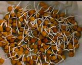 A picture of step 6 of Sprouted Chickpeas.