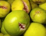 عکس مرحله 1 از دستور شیره انجیر خانگی.مفید برای دستگاه گوارش