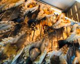 รูปขั้นตอนการทำที่ 1 ของ กุ้งแม่น้ำอบเนยกระเทียม