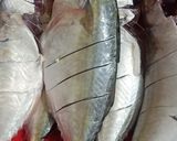 A picture of step 1 of Easy Fish fry Recipe.