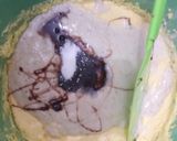 Foto langkah ke 6 dari resep Bolu coklat pisang syan syan.