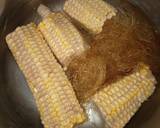 Corn Cob Tea 🌽 (Teh Tongkol & Rambut Jagung) langkah memasak 2 foto