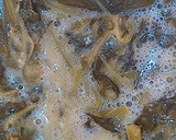 Foto del paso 3 de la receta: Tortilla de grelos