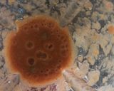 Foto del paso 1 de la receta: Pizza de microondas súper fácil