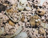 A picture of step 4 of Crockpot Quick and Easy Rigatoni.