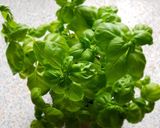 Une image de l'étape 1 de Pesto.