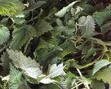 3- Minute Nettle & Walnut Pesto #vegan recipe step 1 photo