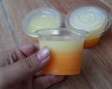 Foto langkah ke 1 dari resep Puding susu mangga.