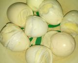 Egg rollmatakin girki3 hoto