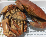 Foto del paso 4 de la receta: Salpicón de marisco