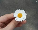 صورة لخطوة 6 من وصفة دجاج محمّر مع بطاطا 🦋