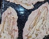 Foto del paso 4 de la receta: Milanesa al pan