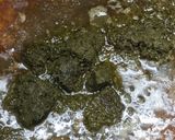 A picture of step 4 of Ghorme sabzi.