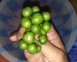 Foto langkah ke 1 dari resep Ulukutek leunca.