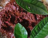 Foto langkah ke 2 dari resep Rawon Daging.