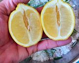 Foto del paso 5 de la receta: Dorada a la sal con hierbas aromáticas frescas y hojas de té