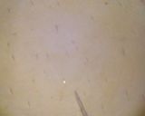 A picture of step 2 of Fusion pizza.