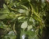 A picture of step 1 of Rajasthani bathua rayta.