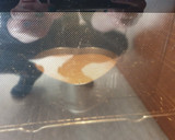 Foto del paso 4 de la receta: Bizcocho húmedo de leche de coco y coco