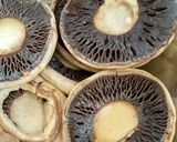 Rántott gomba petrezselymes burgonyával recept fázis 1 fotója