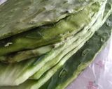 Foto del paso 5 de la receta: Tortillas de linaza