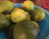 Foto del paso 1 de la receta: AguaChile🦐💧