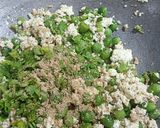 A picture of step 3 of Green Peas and Paneer Bhurji.