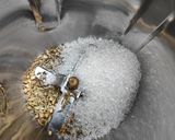 A picture of step 2 of Totapuri cooler.