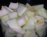 Foto del paso 3 de la receta: Heladitos naturales de melon al jenjibre y leche de coco