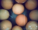Gambar langkah 2 resipi Telur Masak Masam - Manis.