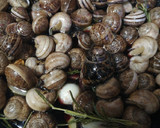 Foto del paso 2 de la receta: Caracoles fritos