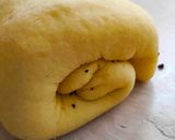 Egy tésztából diós, mákos és fonott kalács recept fázis 3 fotója