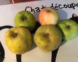 Une image de l'étape 5 de Tarte aux pommes sur lit de compote pommes et noix (pâte brisée aux deux beurres).